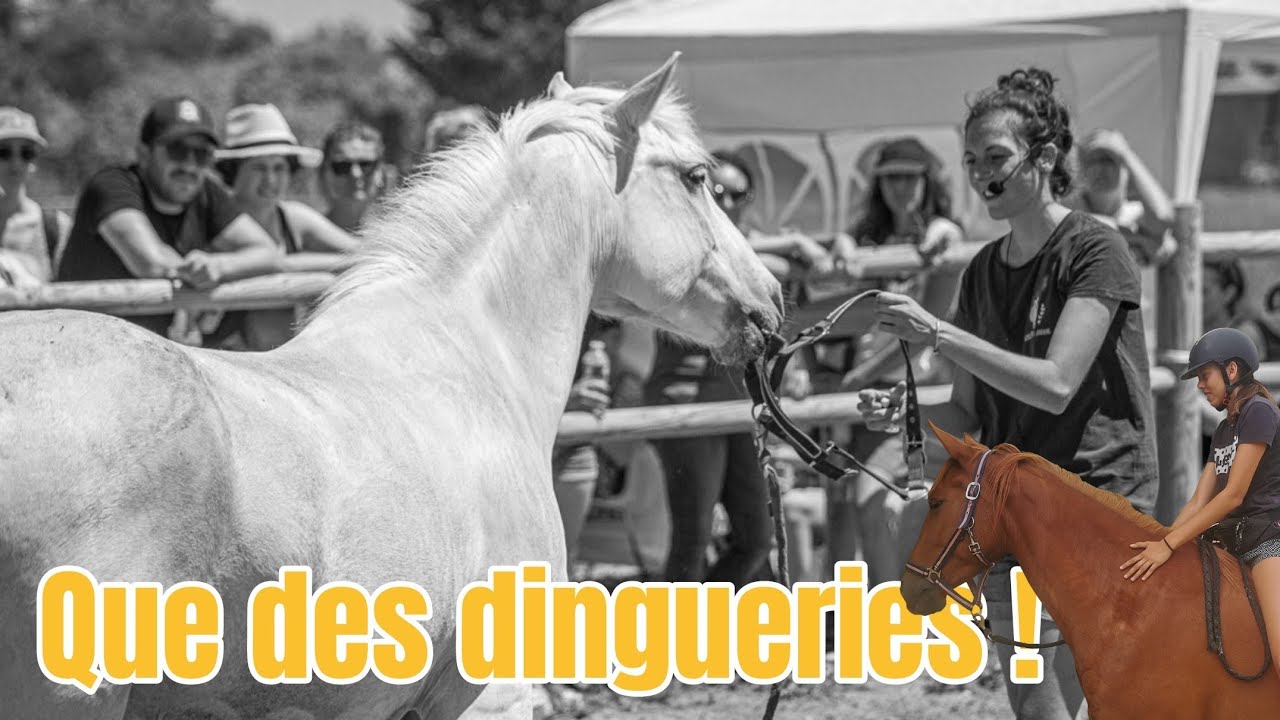 ON PARTICIPE A NOTRE PREMIER SALON ET NINA GRIMPE SUR IRIS