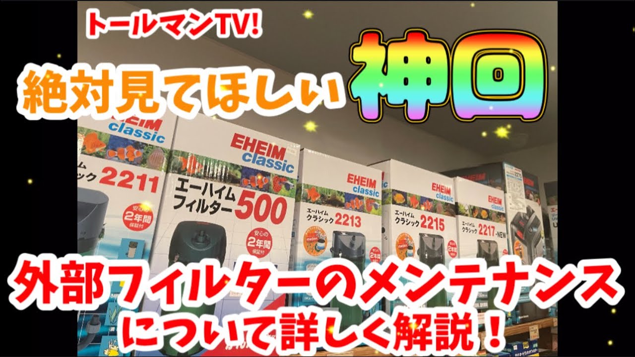 神回！！絶対見て欲しい。外部フィルター掃除の極意　エーハイムフィルター　水槽　アクアリウム