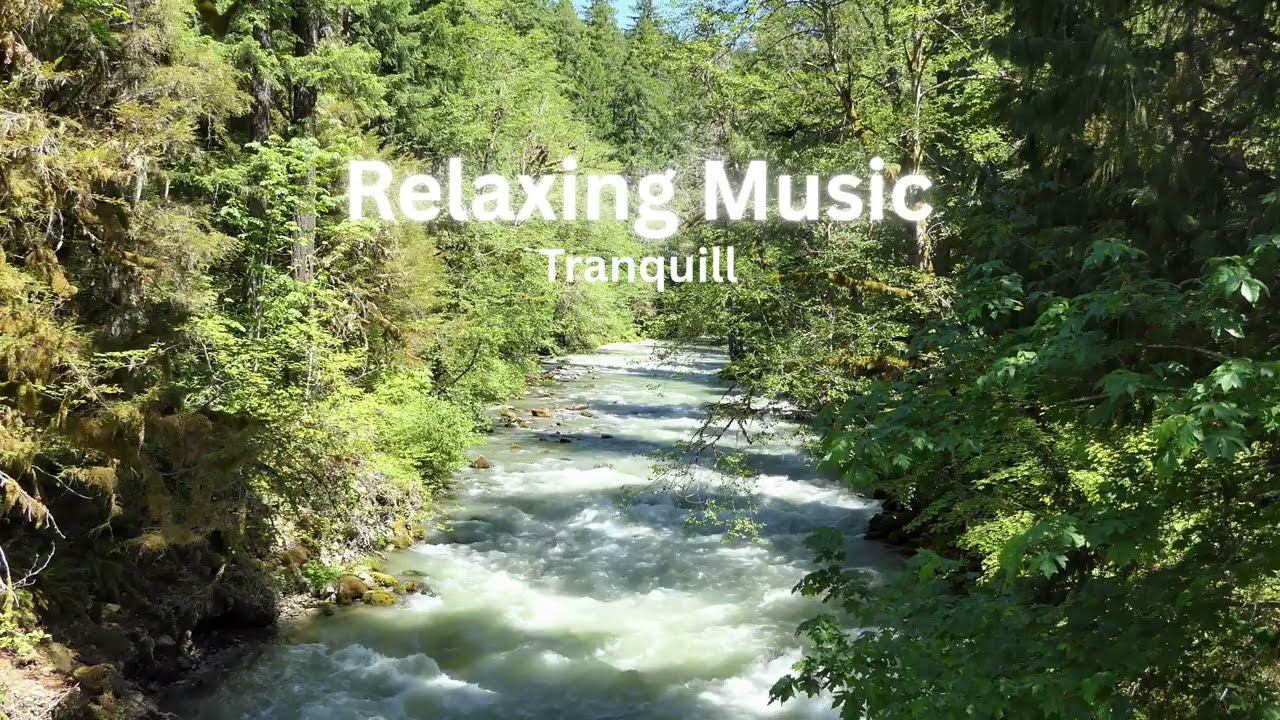 Slow Smooth Relaxing Music 🌿 Calm Instrumental for Peace & Relaxation