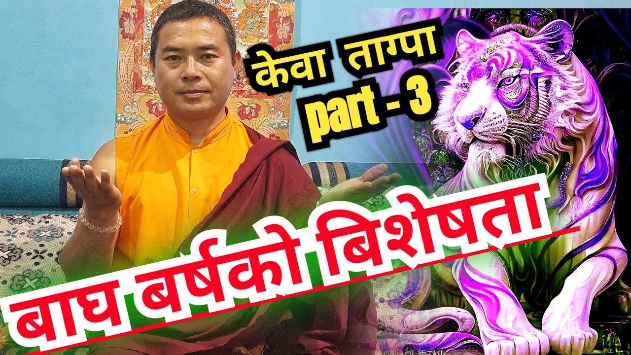 केवा ताग्पा part - 3 (Habit of Tiger) बाघ बर्षमा जन्मेको मानिस कस्तो स्वाभावको हुन्छ? Rajendra lama
