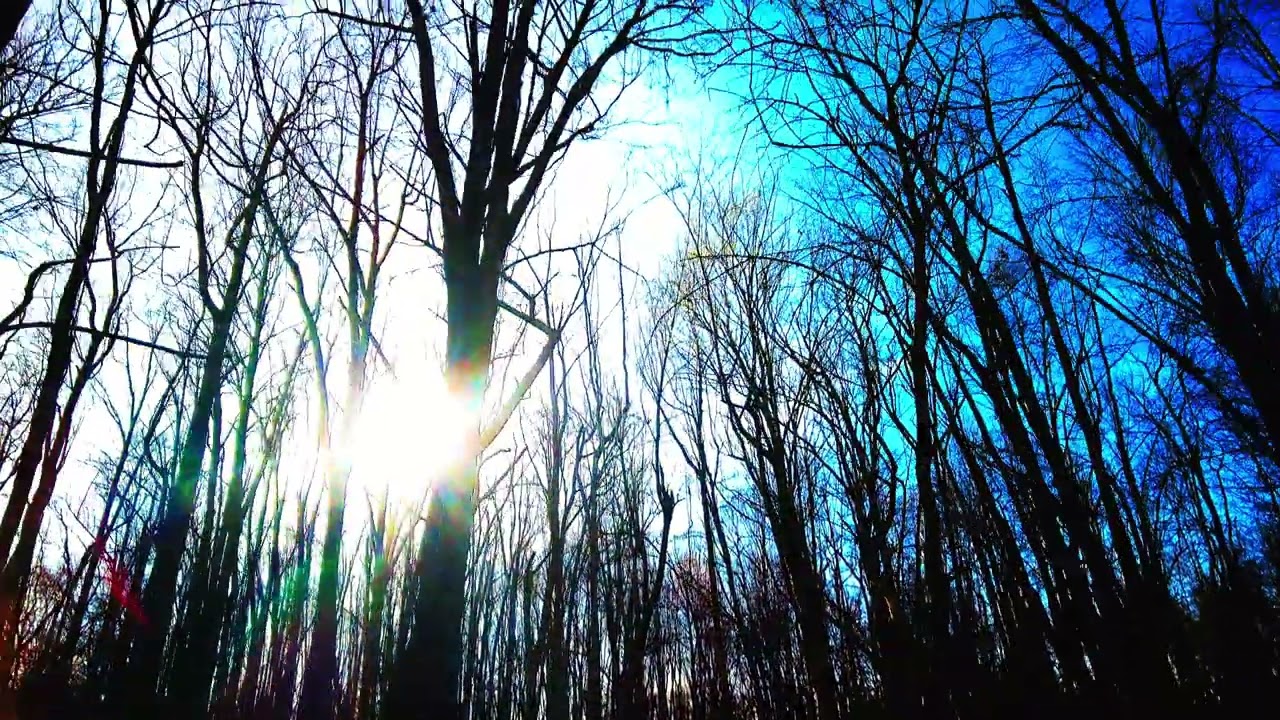 Solemn Walk Around the Park an Affirmation