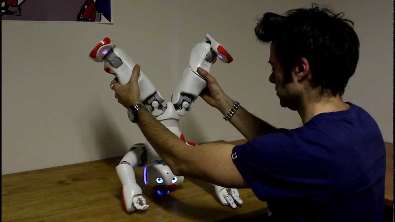 NAO - Gepetto Application