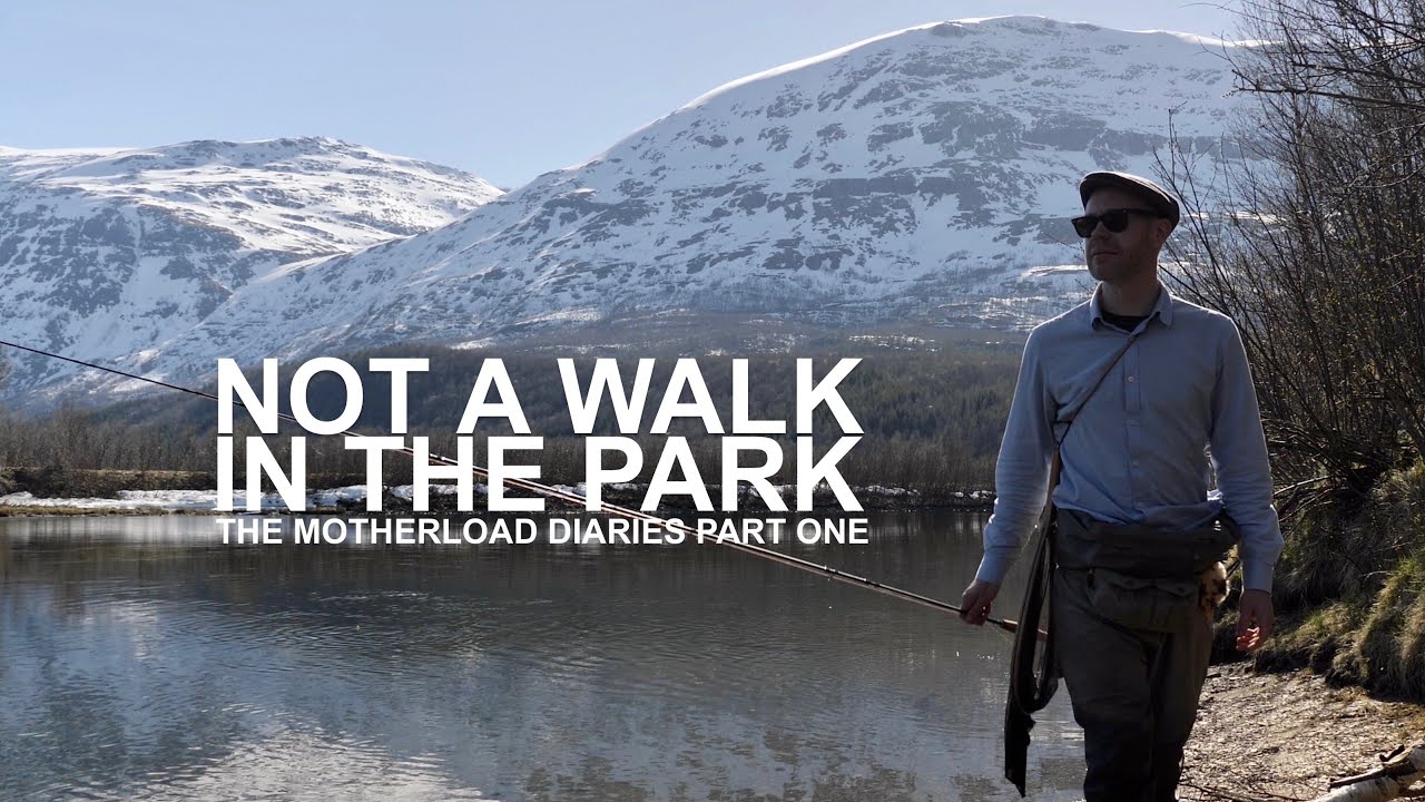 Not A Walk In The Park | The Motherload Diaries Part One