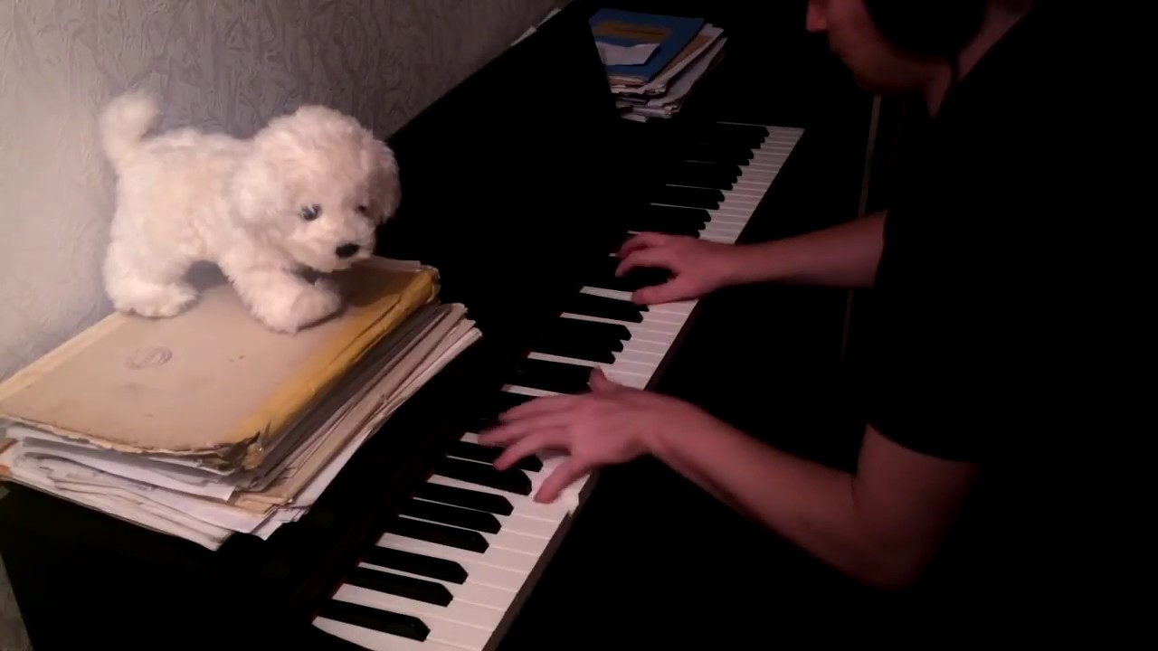 Твои шаги (Piano Cover)