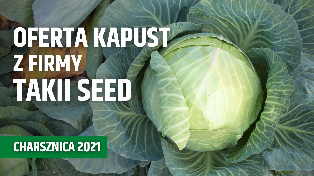 Ciekawa oferta kapust z firmy Takii Seed – Charsznica 2021