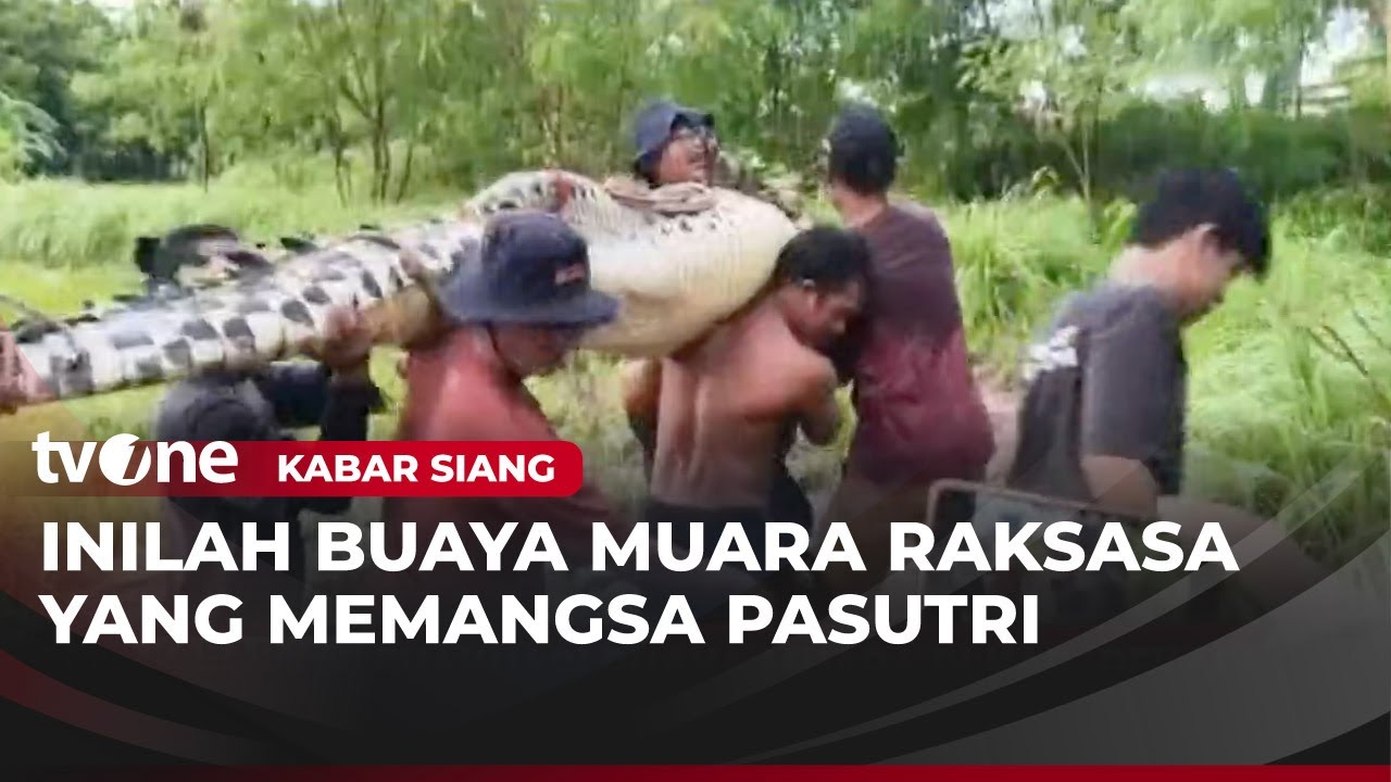 Warga Ramai-ramai Tangkap Buaya Memangsa Pasutri | Kabar Siang