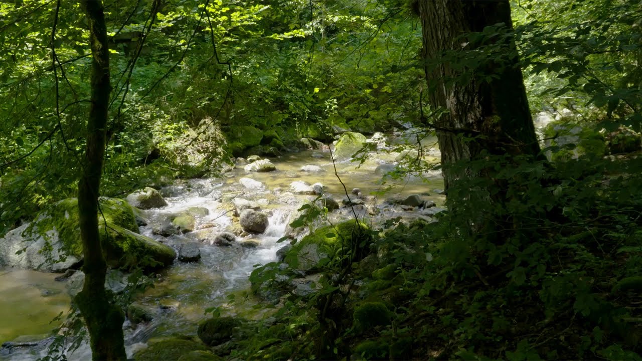 Wandern in OÖ: Wanderweg Pesenbachtal