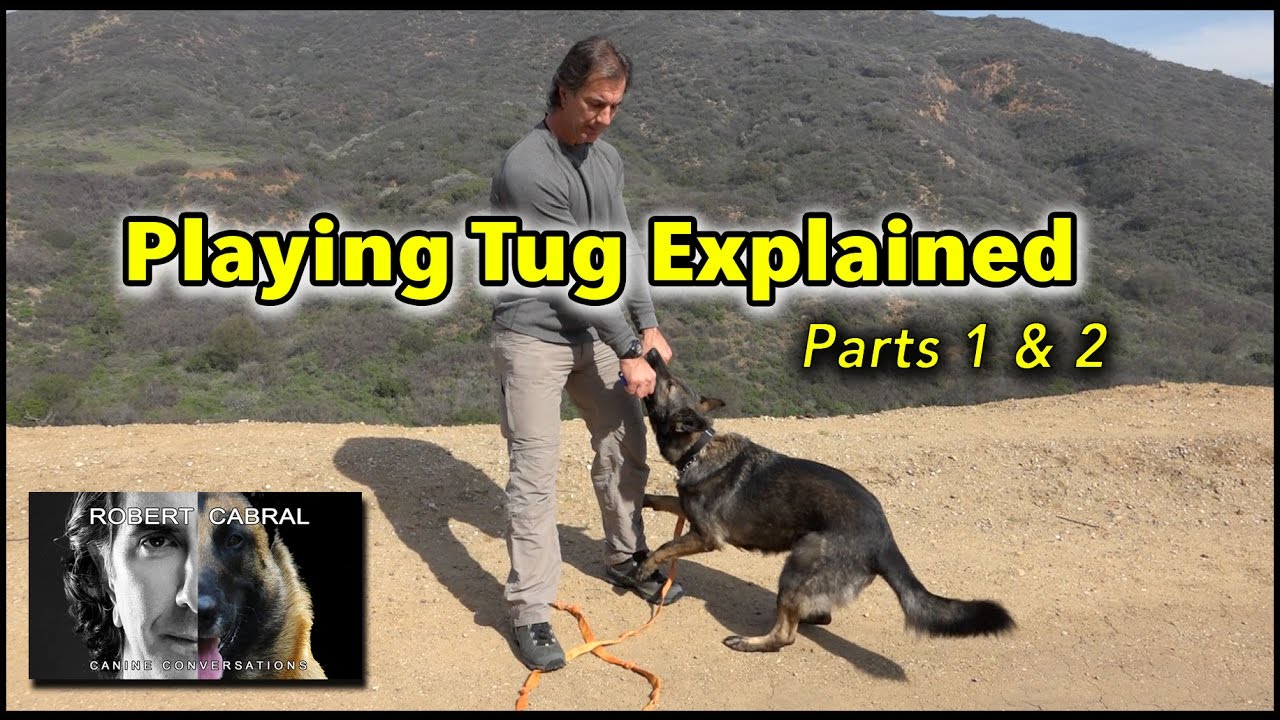 Tug Toy Basics #1 and #2 Explained