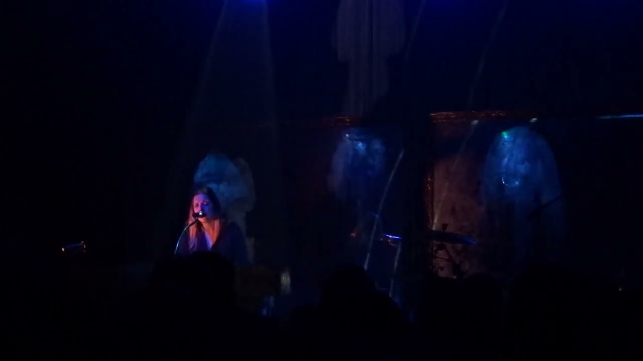 CATS ON TREES 