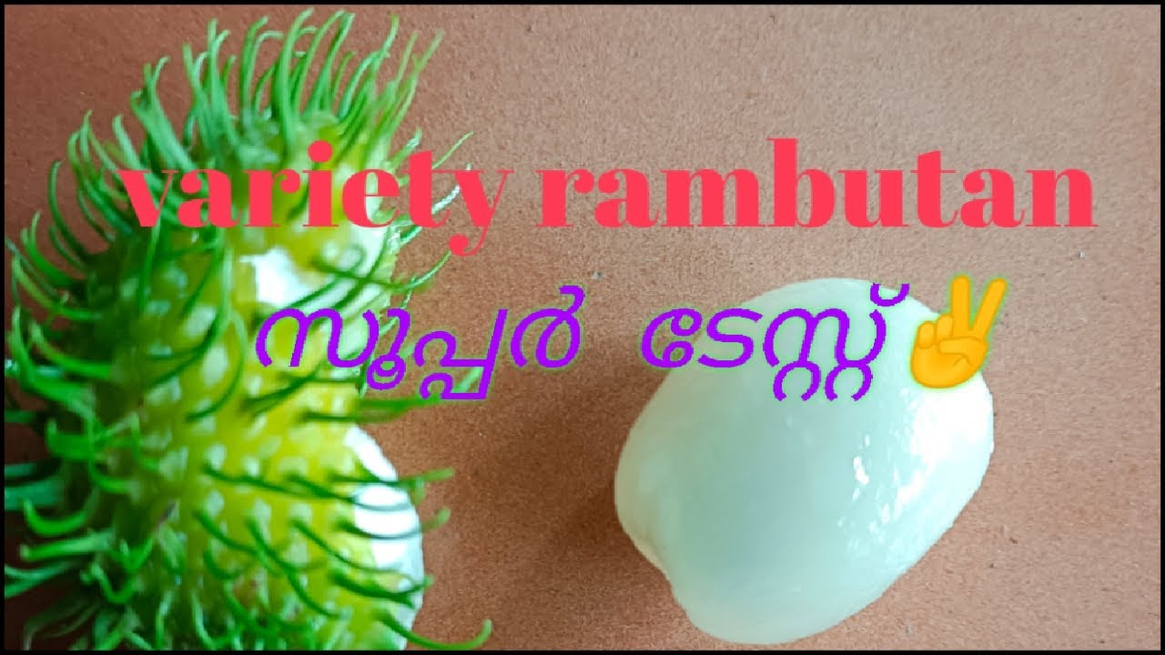 variety Ram Bhutan thai namukkum undakkam #farmers #farming #veraityvideo
