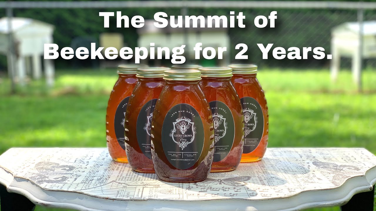 The Summit of Beekeeping for 2 Years  - Episode 89 LCH