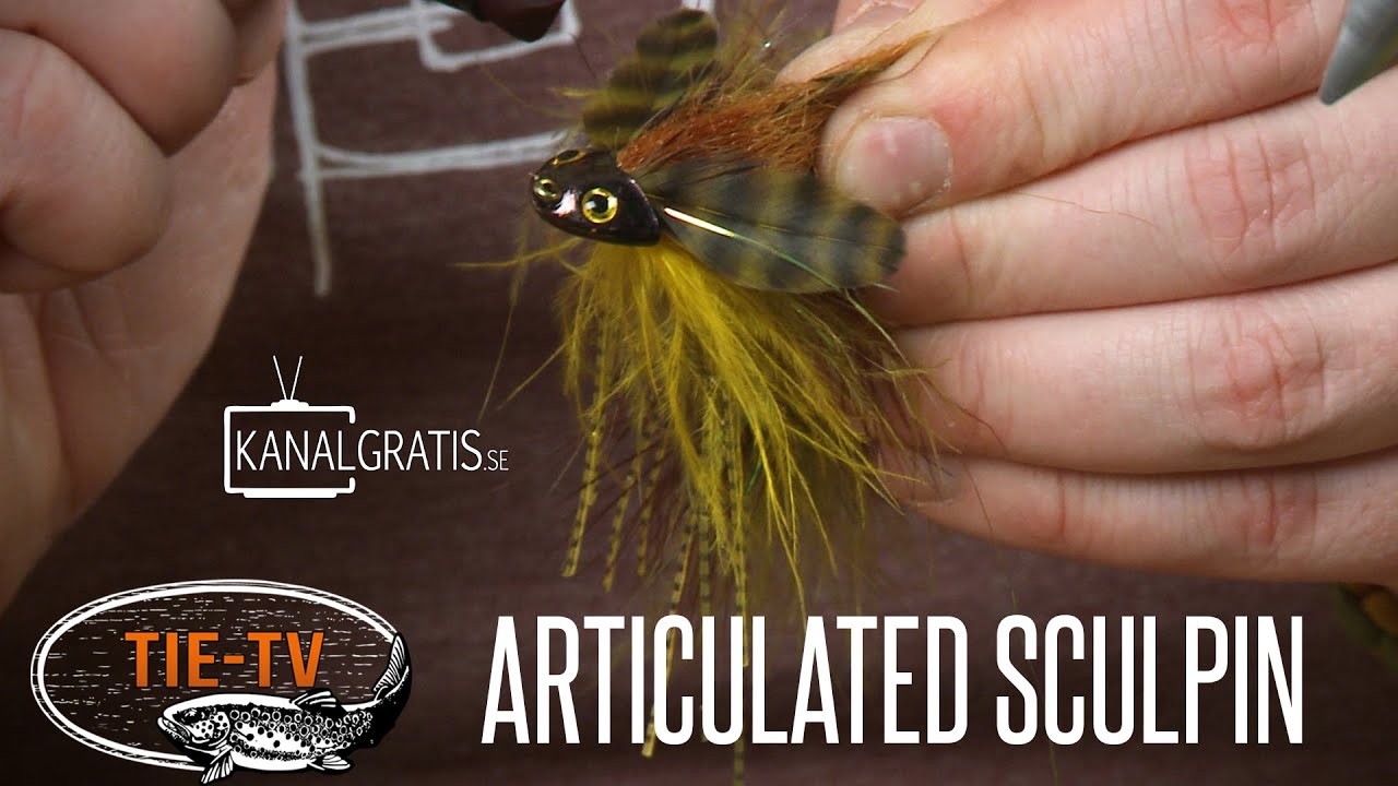 Tie TV - Articulated Sculpin - Daniel Bergman