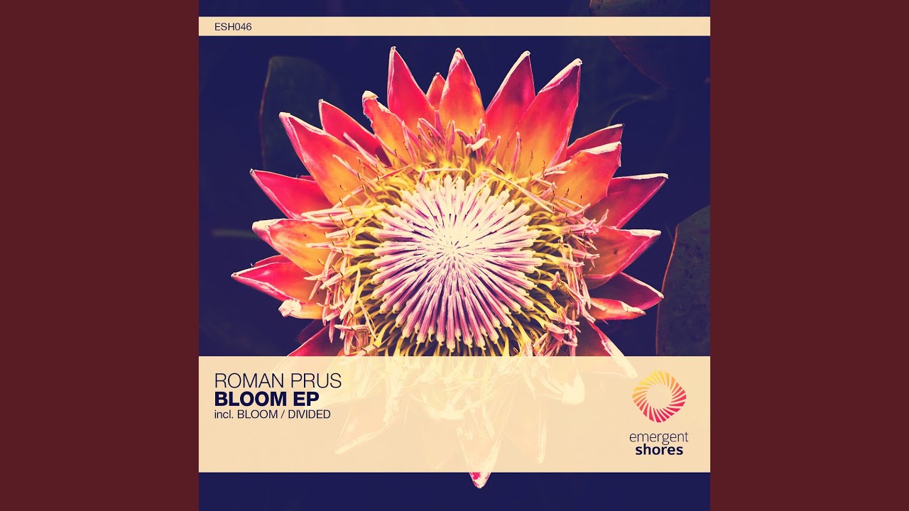 Divided (Original Mix)