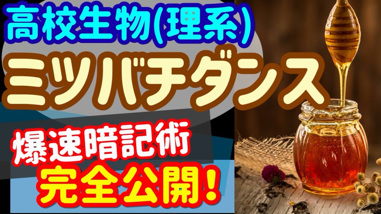 【高校生物 59】生得的行動【ミツバチダンス】を宇宙一わかりやすく