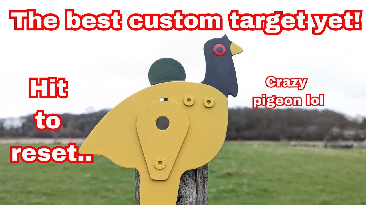 Building mad custom air rifle resetting long range targets