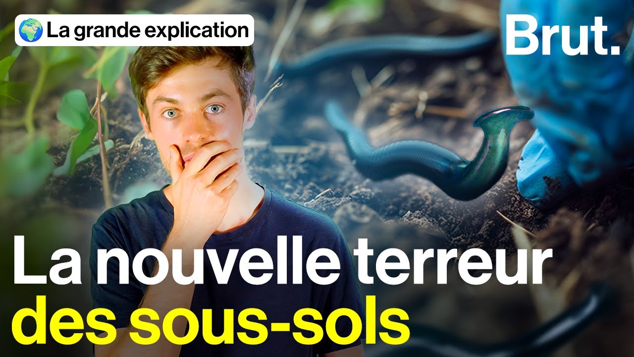 Cette invasion se déroule sous vos pieds