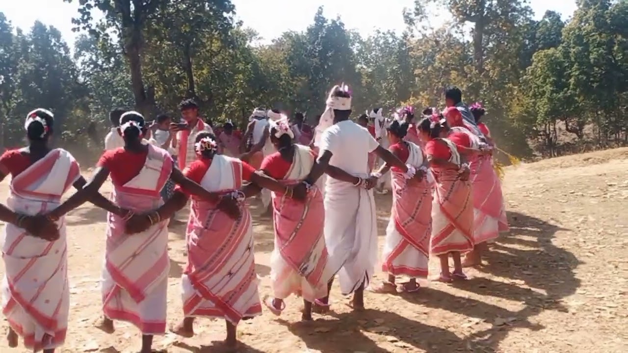 Adivasi dance #mandli#parab#celebration#donginala