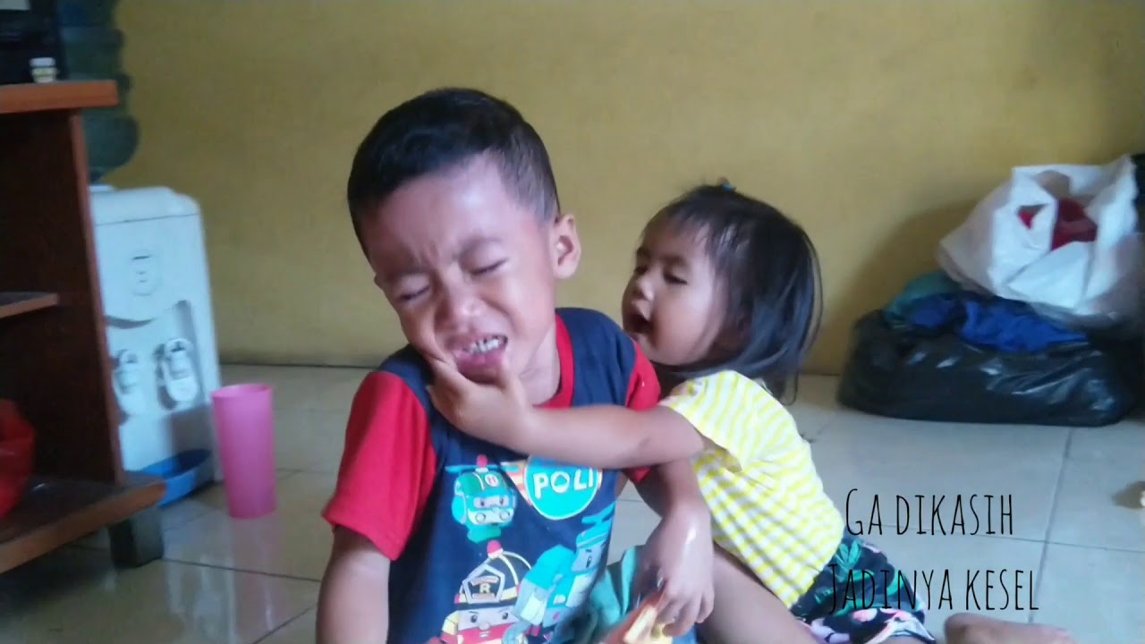 Video lucu - balita lucu jailin kakaknya - adik kaka saling nangis
