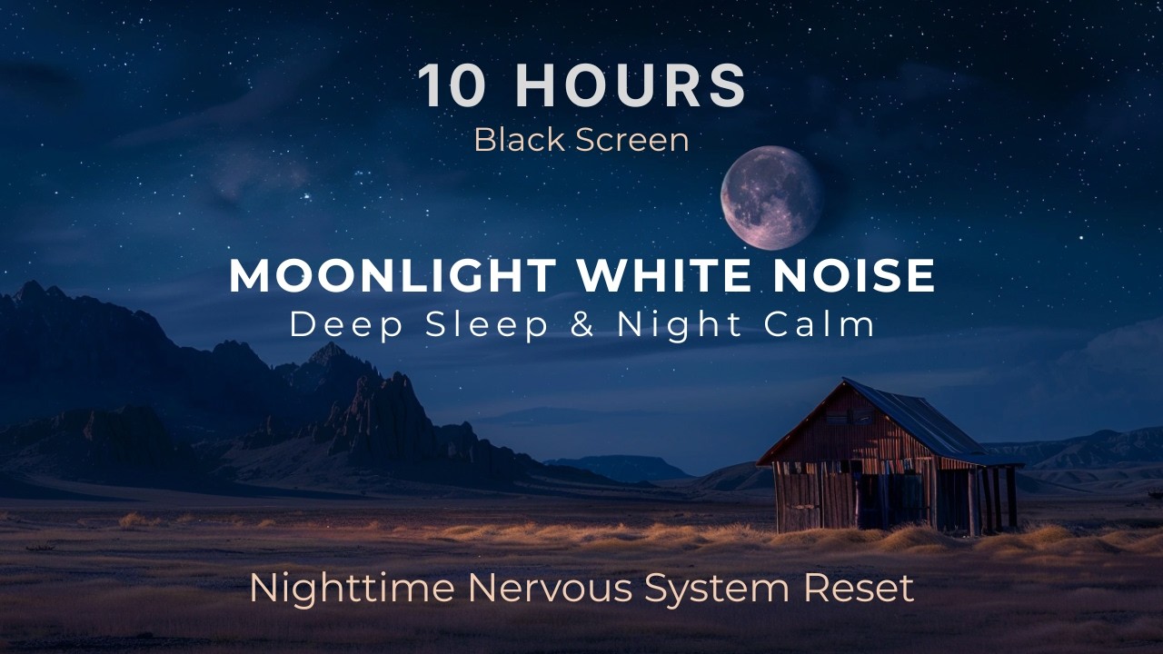 Moonlight White Noise for Deep Sleep (Black Screen) | 10 Hours
