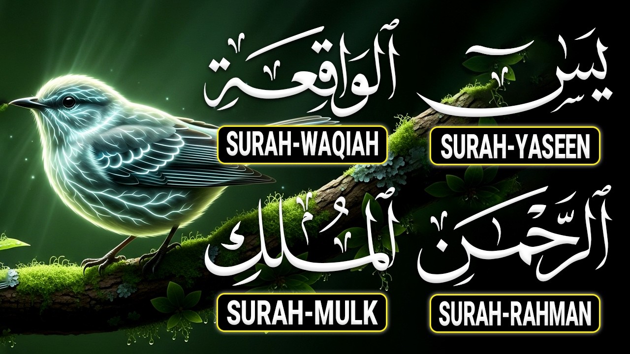 Magical Recitation Surah Yaseen (Yasin) | Surah Rahman | Surah Waqiah Surah Mulk | Ep44 By Alaa Aqel