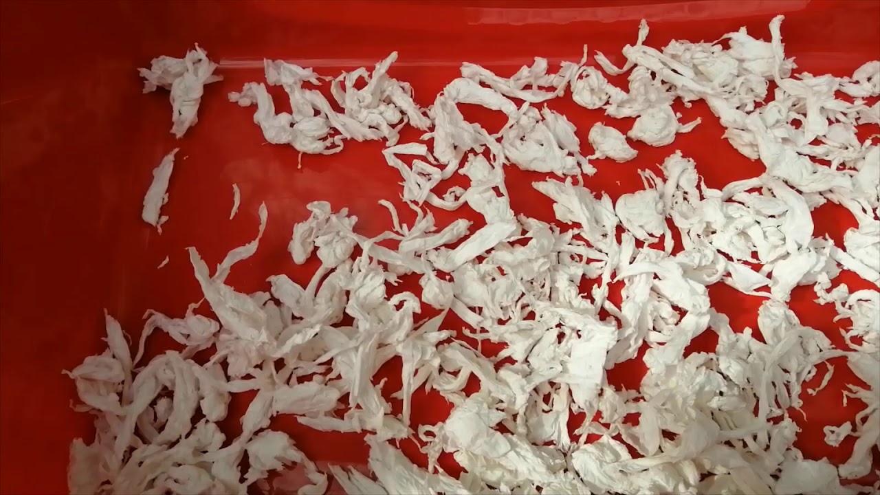 COMO HACER SUSTRATO DE PAPEL PARA LA ESQUINERA DE TU CONEJITO (muy fácil)