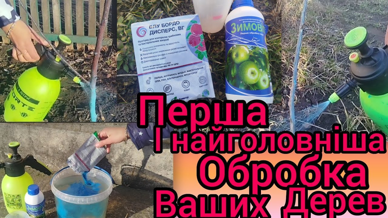 Первая и самая главная обработка ваших деревьев.