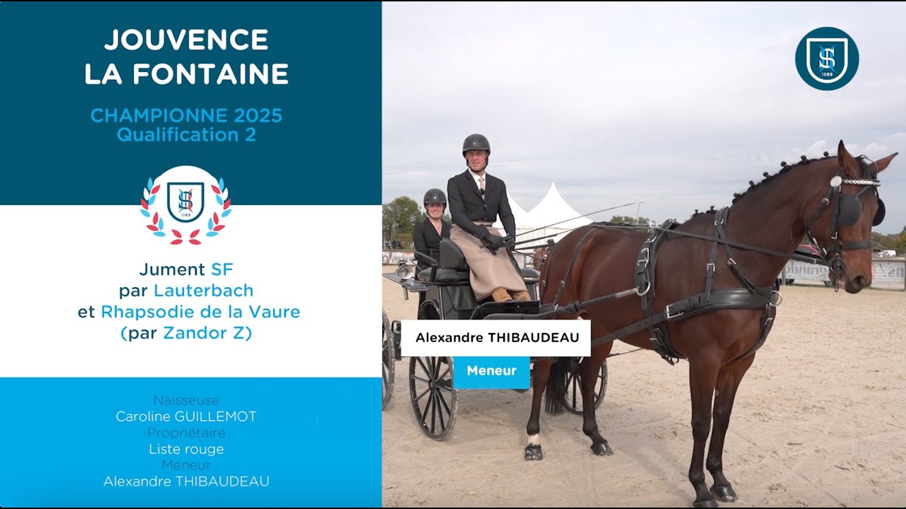 Attelage 2025 - JOUVENCE LA FONTAINE et Alexandre Thibaudau - Qualification 2