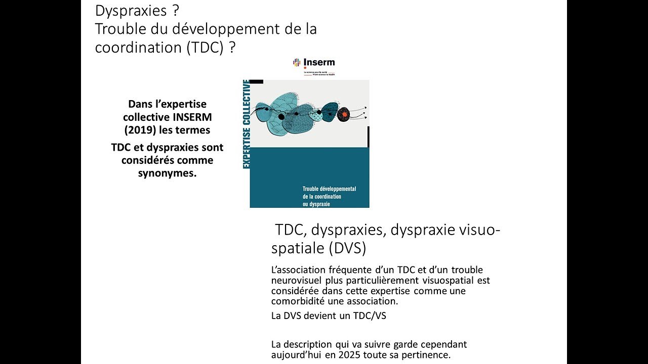 pr&eacute;sentation courte Dyspraxies