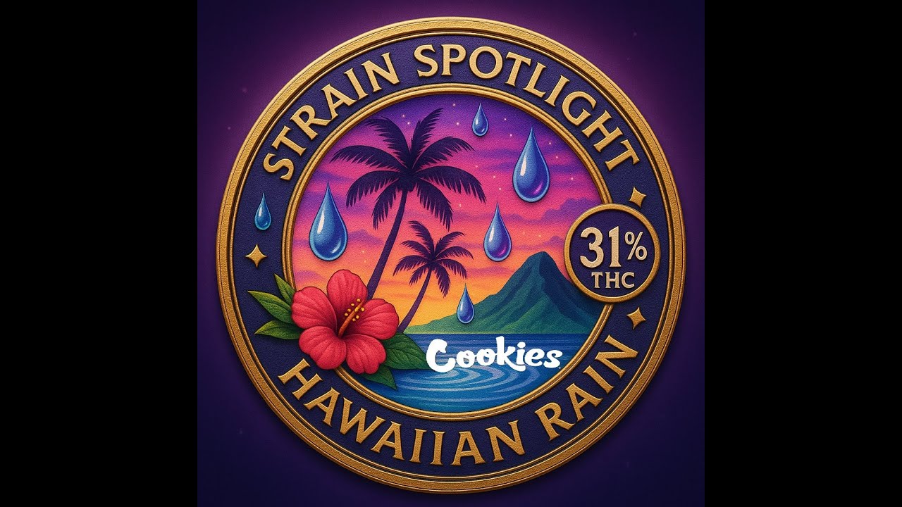 Strain Spotlight   🍪 Cookies - Hawaiian Rain (31% THC) 🌧️ &ndash; Medical Flower Review 💨