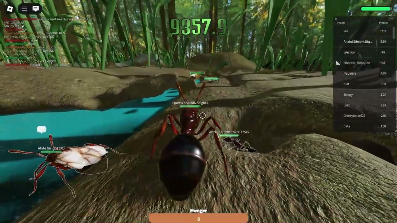 Ant life video 1