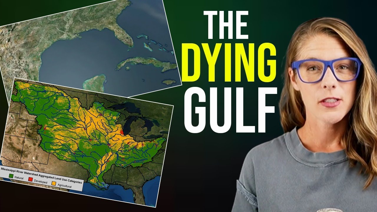 Who & What are killing the Gulf of Mexico? || Jack E. Davis