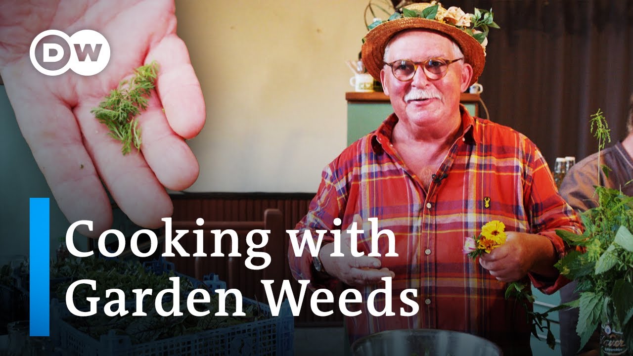 Why We Should All Be Eating More Weeds | Using Garden Weeds As Healthy Ingredients For Cooking