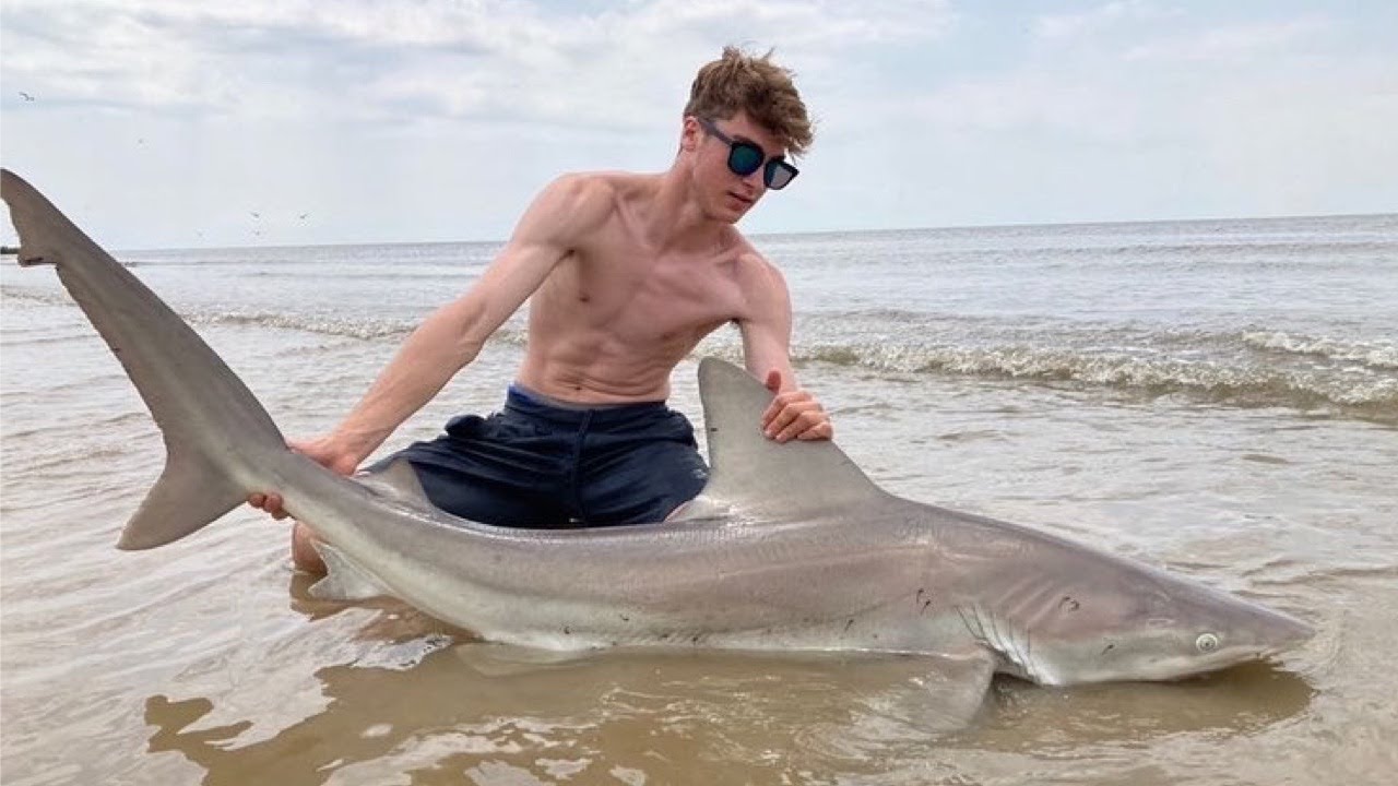 Delaware Bay Land Based Shark Fishing - Sandbar, Sandtiger, Dusky