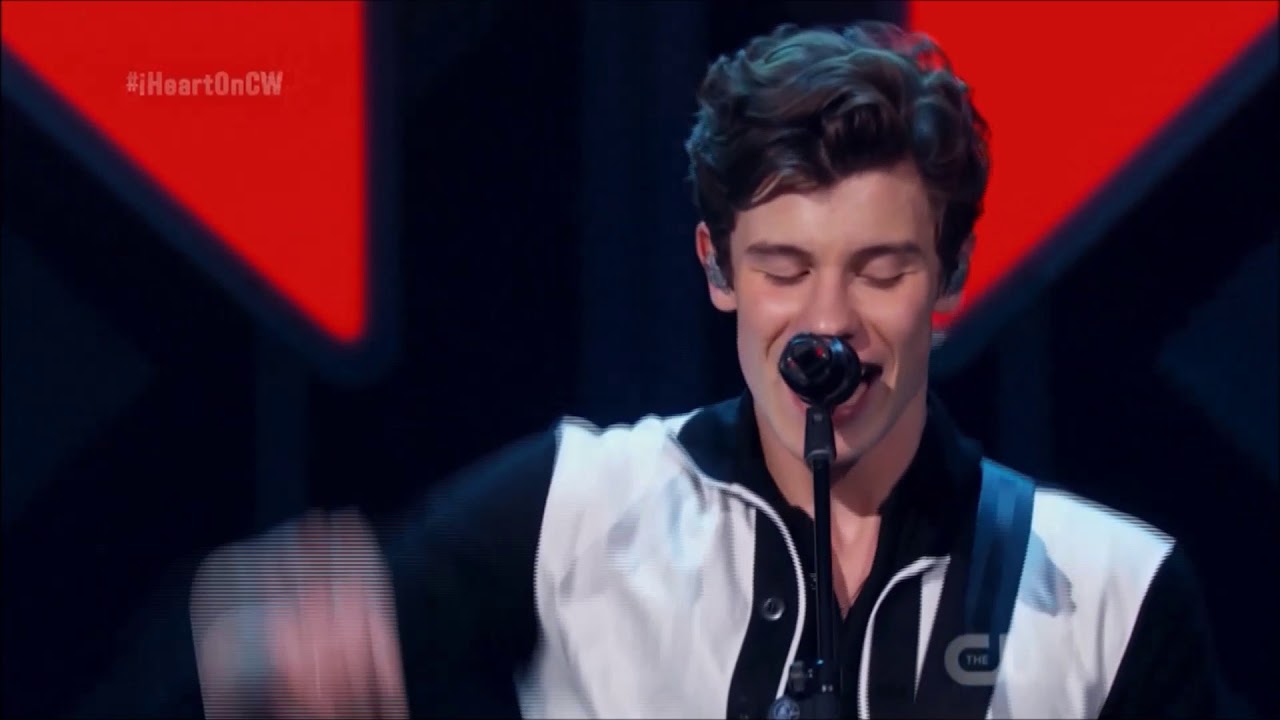Shawn Mendes Lyrics : Use Somebody
