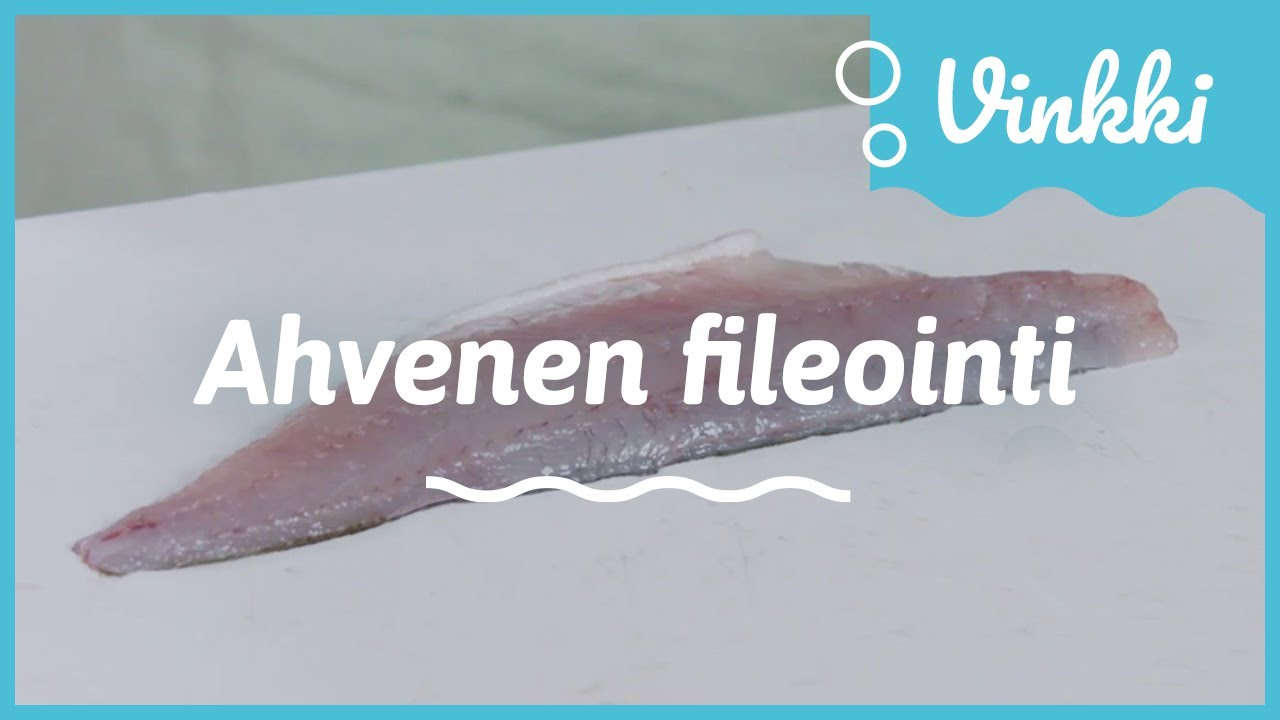 Ahvenen fileointi: Nahallinen ahvenfile | Kalan käsittely