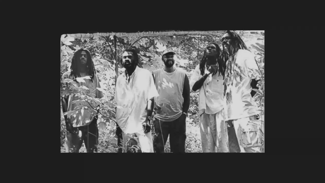 Midnite - Lion Wears The Crown (Remix)