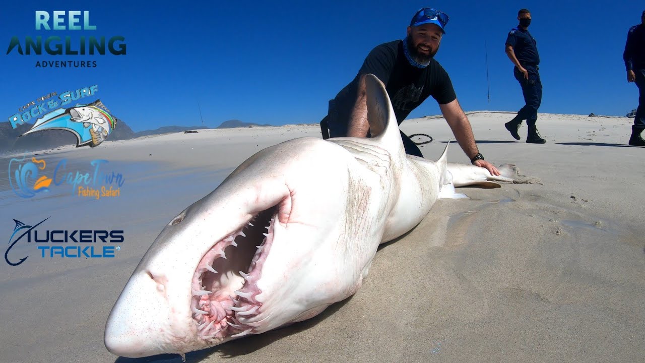 Shark fishing at Sonwabi, False bay