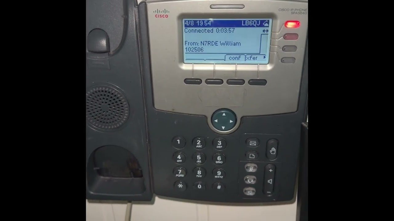 The cat freaked out. The hamphone was ringing