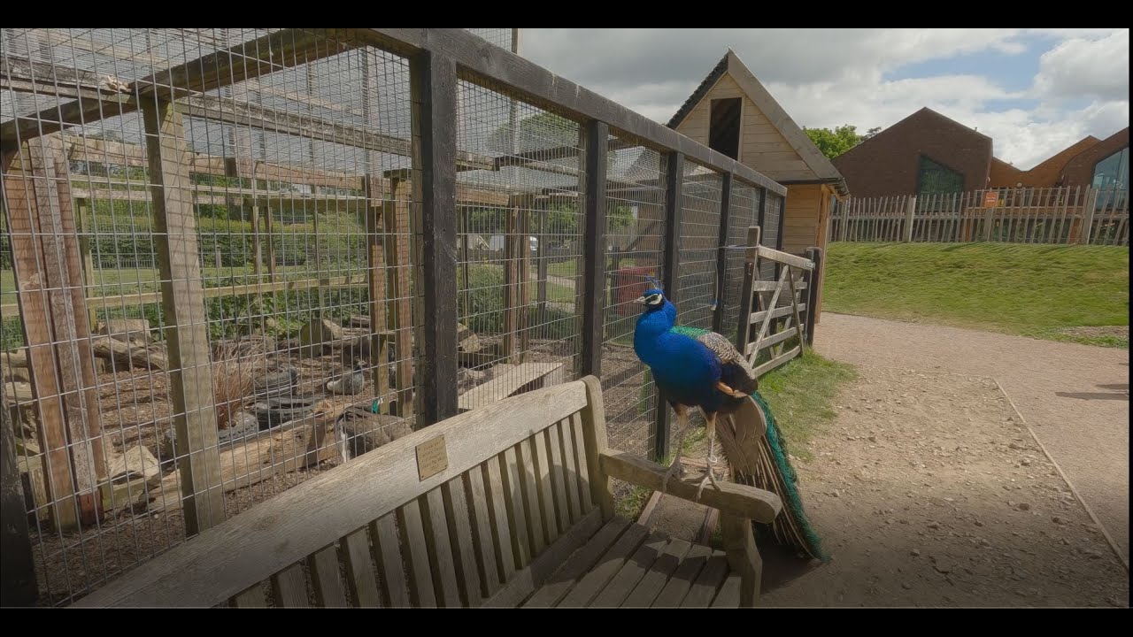 Aldingbourne Country Centre ~ 4K