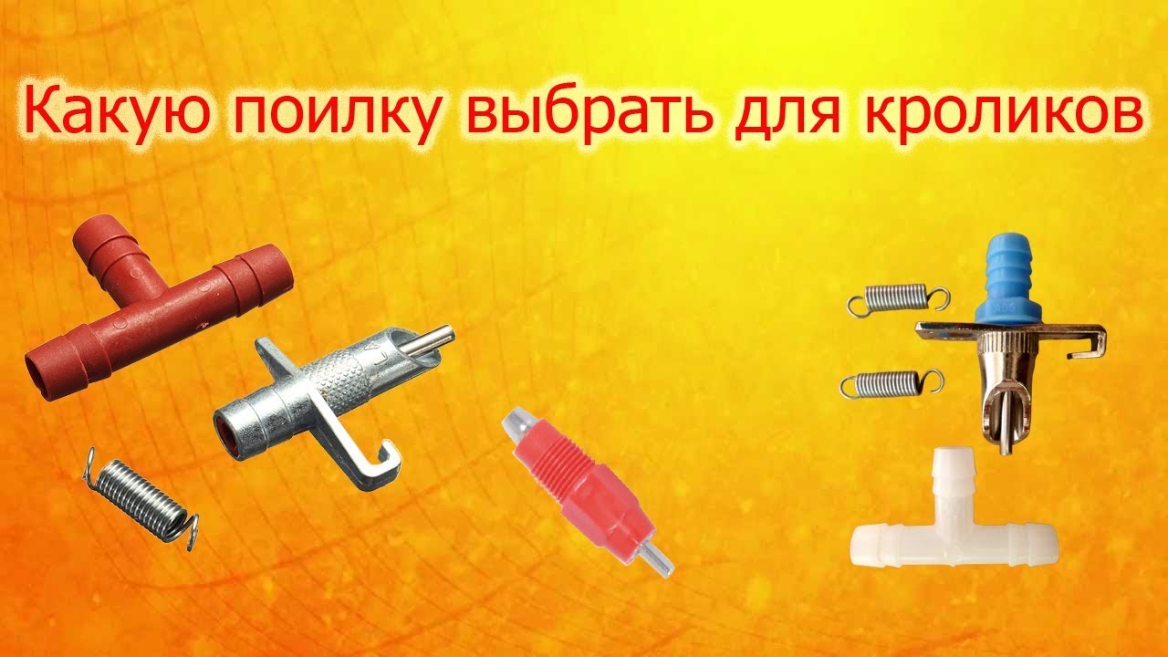Поилки для кроликов какие выбрать.