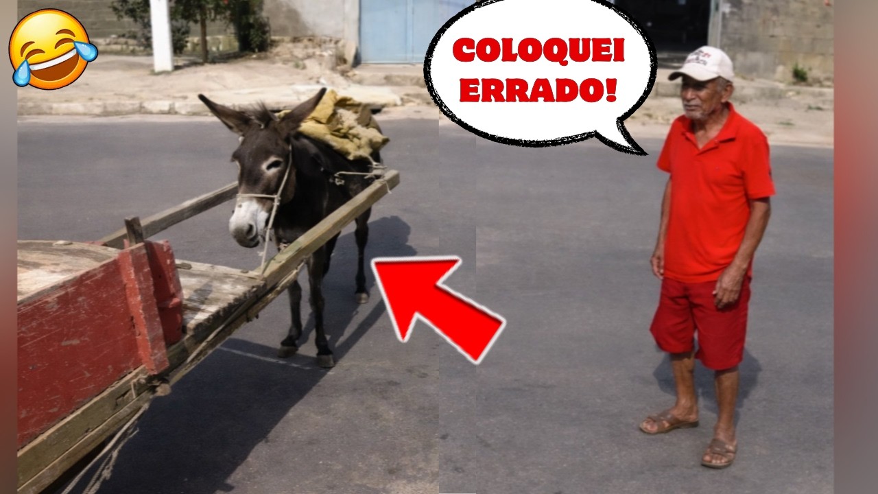 OLHA O QUE O BÊBADO FEZ COM O JUMENTO!😂 AS FULERAGENS MAIS ENGRAÇADAS  DA NET! 😂  #comédia