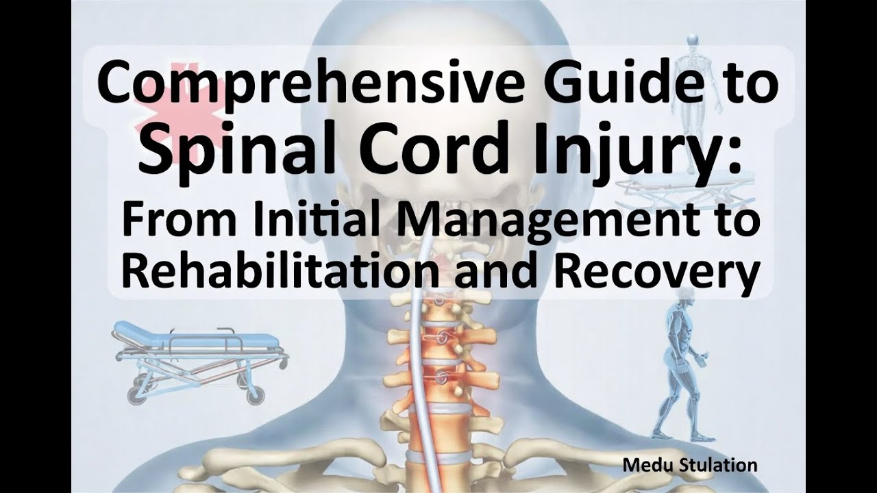 Comprehensive Guide to Spinal Cord Injury From Initial Management to Rehabilitation and Recovery