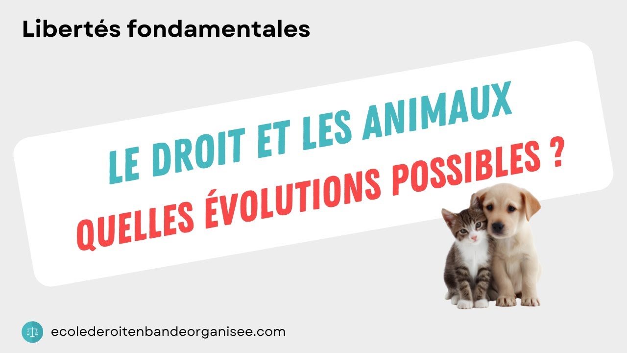 Droit des animaux