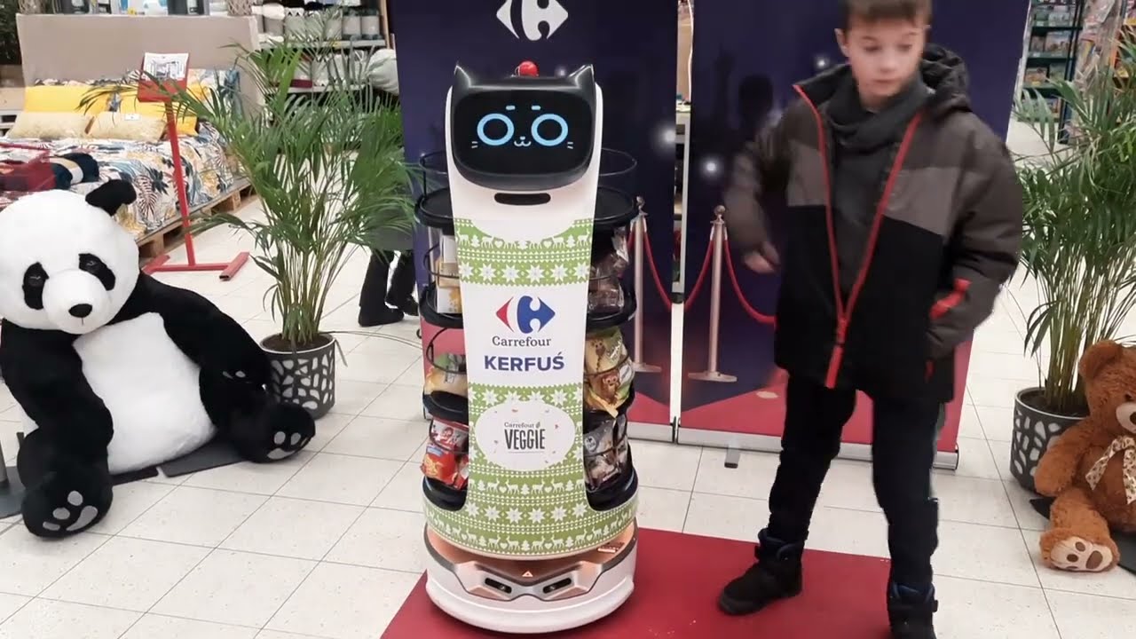 Kerfuś w Bydgoszczy (Carrefour Glinki)