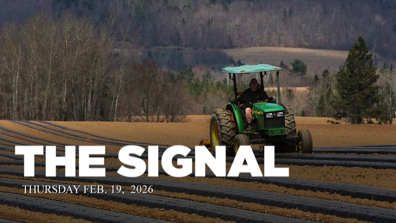 The Signal | What can we learn from the way we used to farm?
