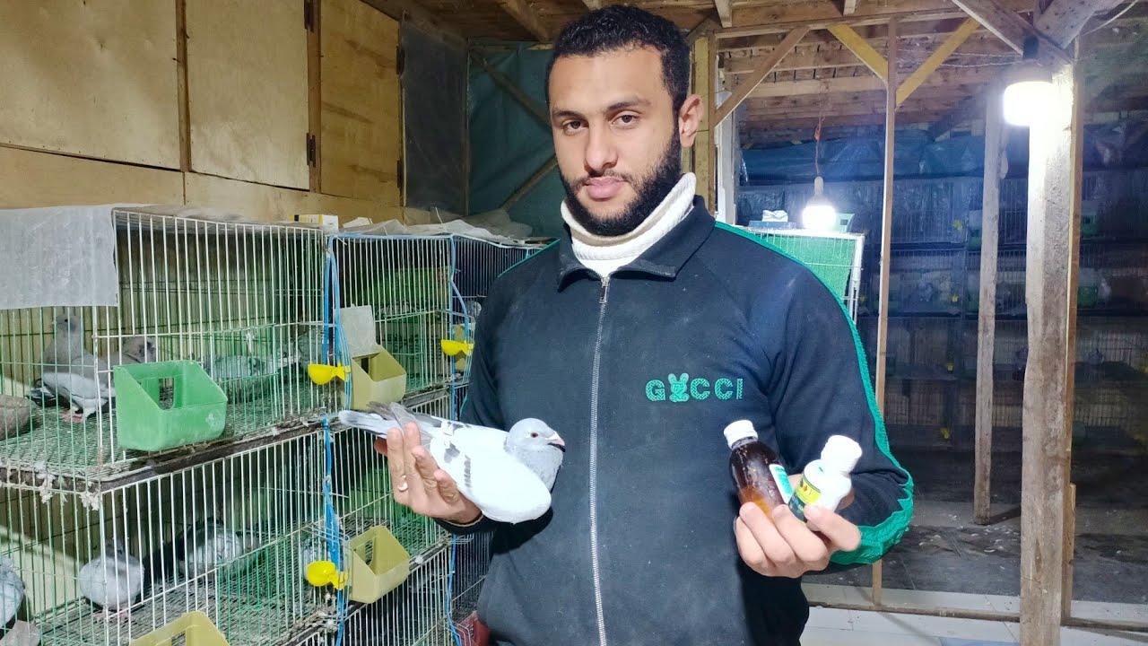 اقوى علاج للاسهال 😱والسالمونيلا مع محمد احمد#العناني