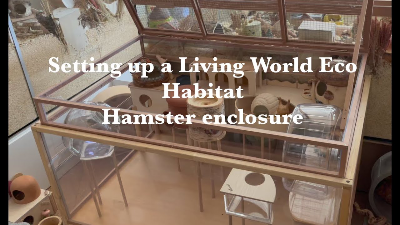 Создание вольера для сирийского хомяка в Living World Eco Habitat