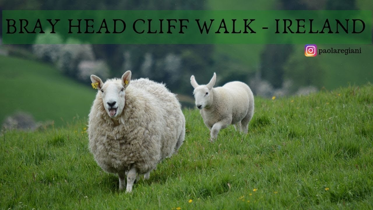 IRELAND travel. Bray Head Cliff Walk (from Bray to Greystone)