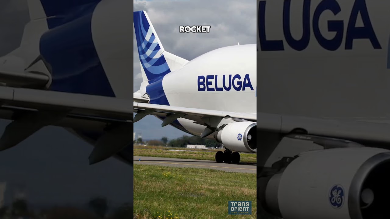 Airbus Beluga: The Flying Whale Cargo Plane That Carries Wings, Helicopters and Rockets!