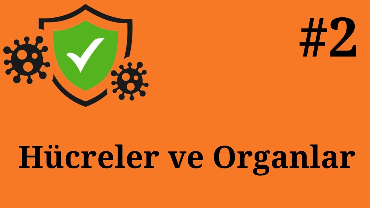 İmmünoloji | #2 | Hücreler ve Organlar